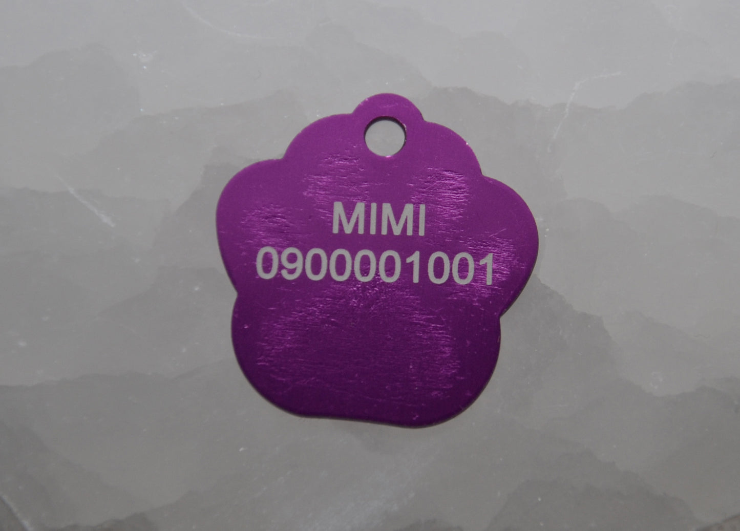 Identifikačný štítok - čierna labka.